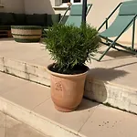 Villa Maison Contemporaine Avec Piscine Proche D'uzes- 3 - Jardin Et Barbecue