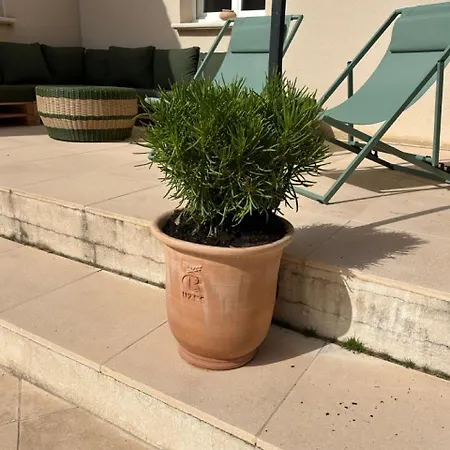 Villa Maison Contemporaine Avec Piscine Proche D'uzes- 3 - Jardin Et Barbecue