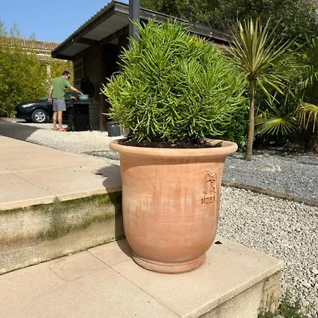 Villa Maison Contemporaine Avec Piscine Proche D'uzes- 3 - Jardin Et Barbecue *