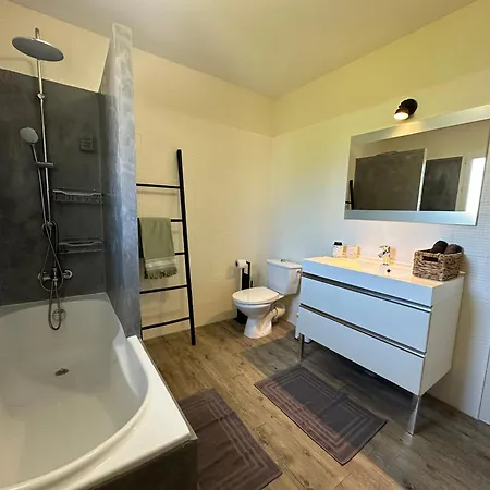Maison Contemporaine Avec Piscine Proche D'uzes- 3 - Jardin Et Barbecue Villa